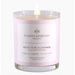 Récolte de la Lavande...