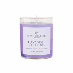 Lavender scented plant...