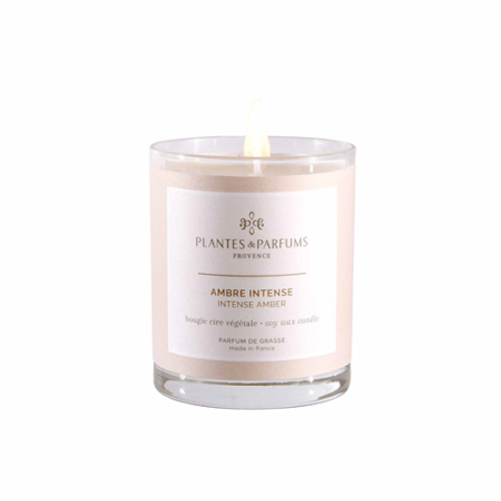 Bougie végétale parfumée Ambre intense - 180g