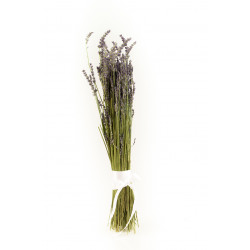 Bouquet di lavandino