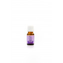 Huile essentielle de Lavande en verre teinté - 10ml