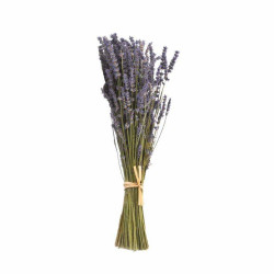  Bouquet de Lavandin avec...