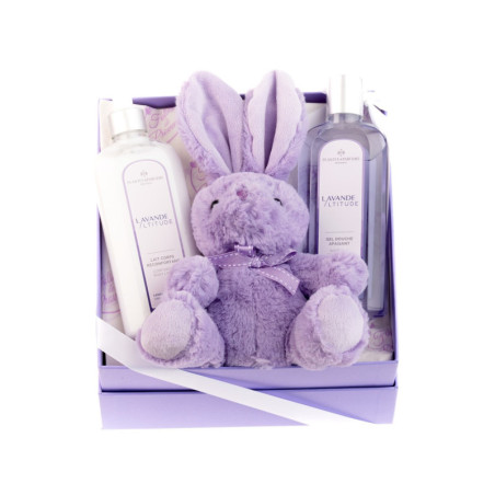 Grande scatola regalo intorno alla lavanda