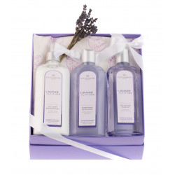 Lavender Gift Box