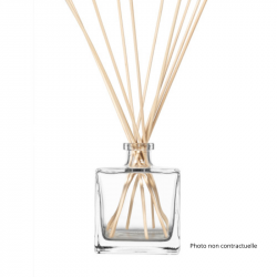 Empty Perfume Diffuser with...