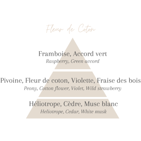 Corset Style Péplum Satiné Noir | Tops | PLT FR Corset Style Péplum Satiné Noir | Tops | PLT FR
