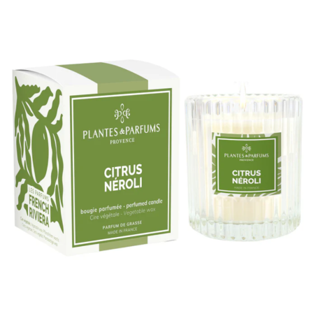 Citrus Neroli Scented Candle – Plant-Based Wax – Made in Provence – Fresh Citrus Scent