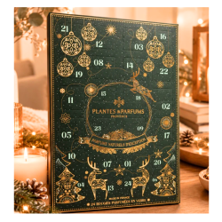 Advent Calendar with 24 Scented Candles | Christmas 2026