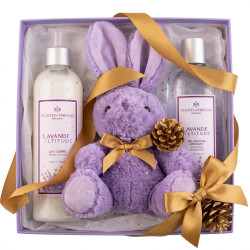 Grande scatola regalo intorno alla lavanda