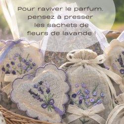 Sachet de fleur de Lavande Aix en Provence