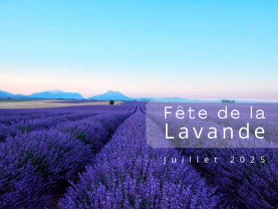 Fête de la lavande : entre tradition et découverte 