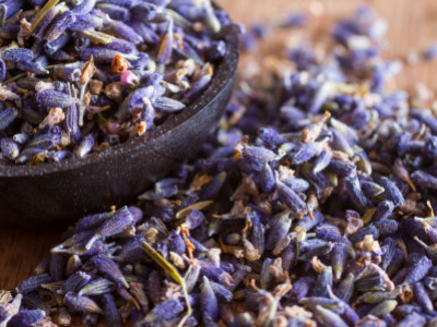 SPOTLIGHT ON EDIBLE LAVENDER