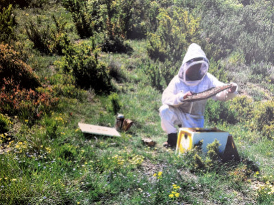 Interview de Jean-Christophe, apiculteur sur le Plateau de Valensole