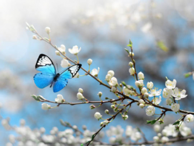 Quelle routine adopter pour un printemps en toute beauté ?